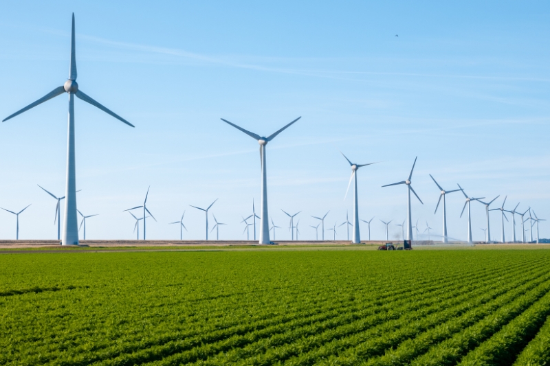 sostenibilidad en la energía eólica
